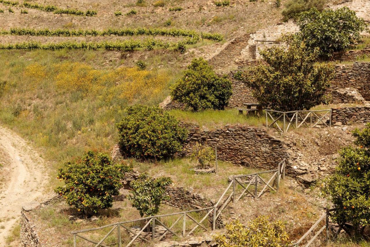 Quinta Nova Winery House - Relais & Chateaux Pinhão المظهر الخارجي الصورة