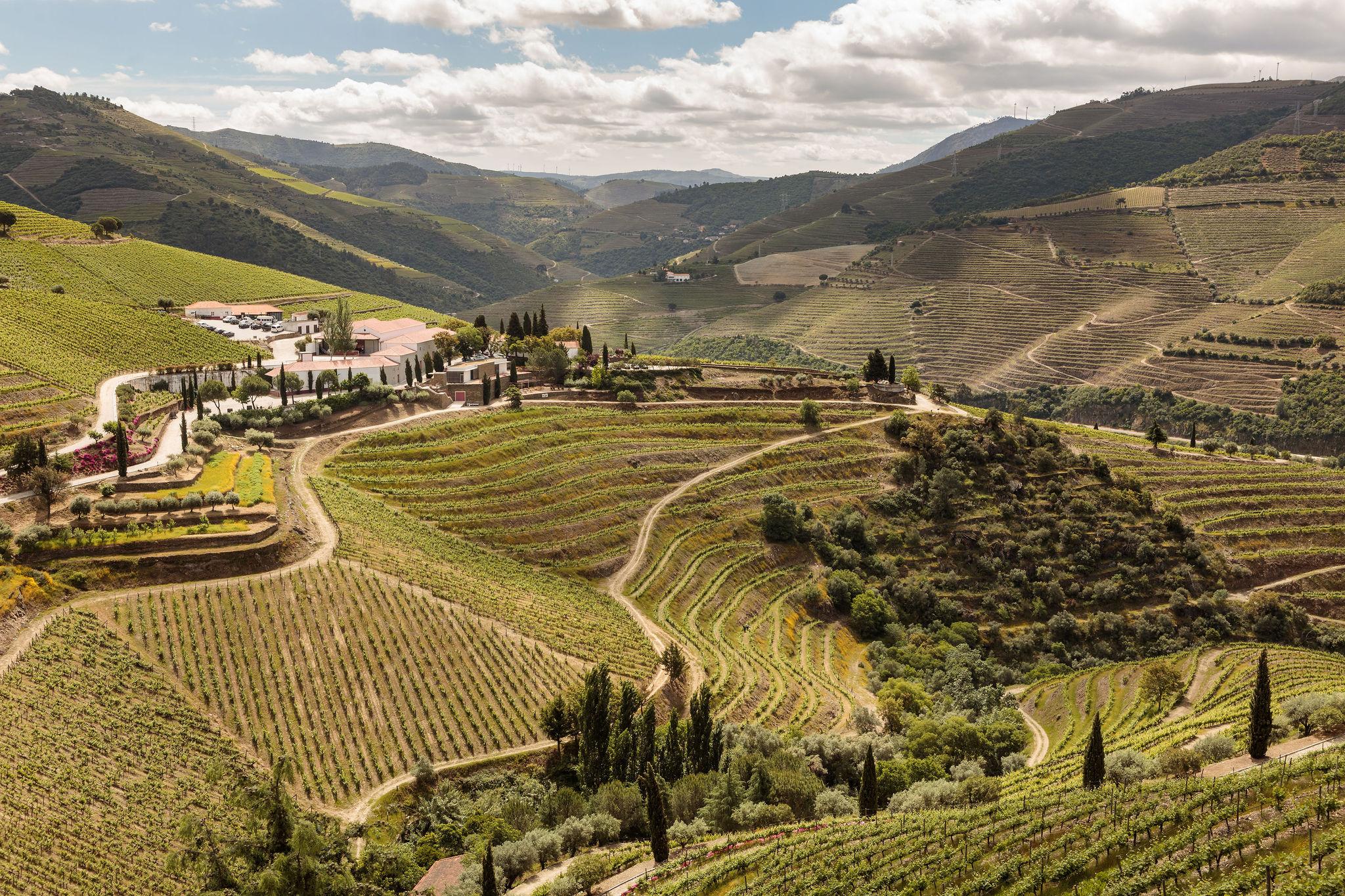 Quinta Nova Winery House - Relais & Chateaux Pinhão المظهر الخارجي الصورة